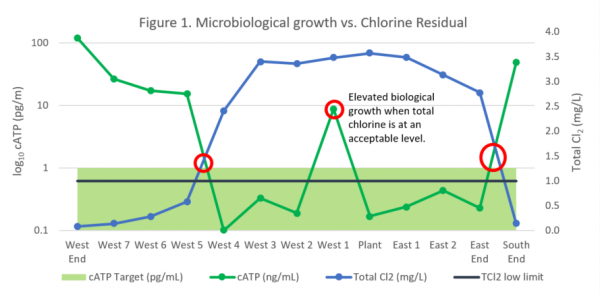 Esquema crecimiento biológico vs. desinfectante residual