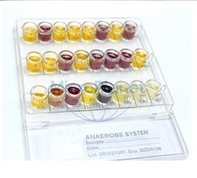 Anaerobe System®: identificación bioquímica de microorganismos anaerobios