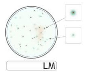 Compact Dry LM, para el control de Listeria monocytogenes validada según ISO 11290-1:2017