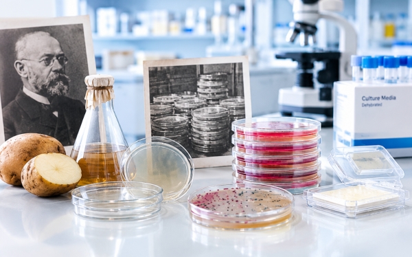 BIO- Coste preparación medios cultivo- historia
